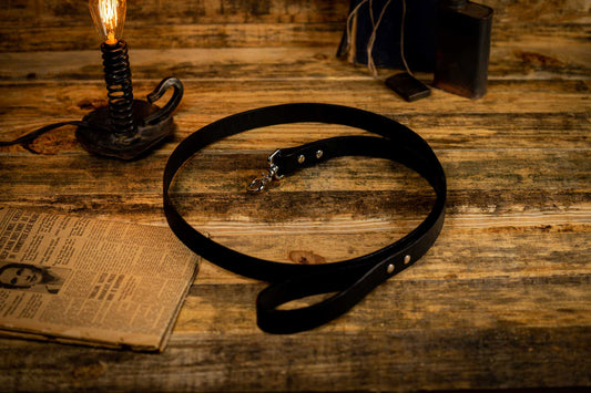 leather dog leash